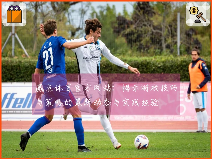 赢点体育官方网站：揭示游戏技巧与策略的最新动态与实践经验